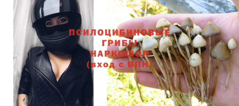 Псилоцибиновые грибы Magic Shrooms  мега онион  Спасск 